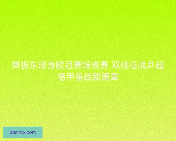 樊振东现身欧冠赛场观赛 双线征战乒超德甲备战新篇章