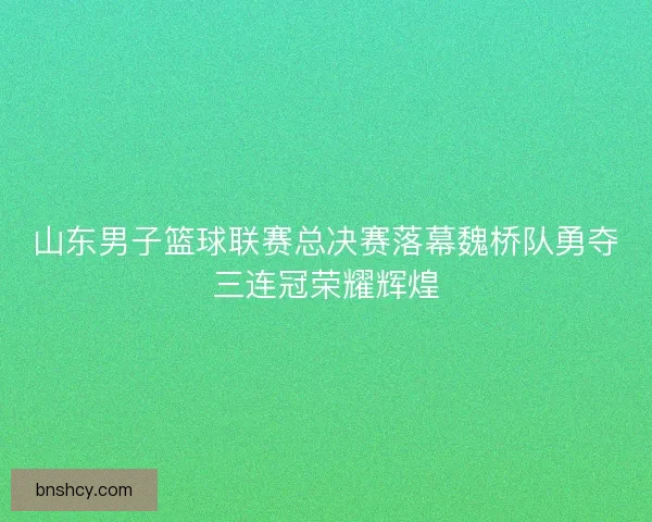 山东男子篮球联赛总决赛落幕魏桥队勇夺三连冠荣耀辉煌 山东男子篮球联赛总决赛落幕魏桥队勇夺三连冠荣耀辉煌